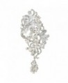 EVER FAITH Austrian Crystal 4.5 Inch Party Floral Vine Waterdrop Brooch Pendant - Clear Silver-Tone - CW11RHCKVN7